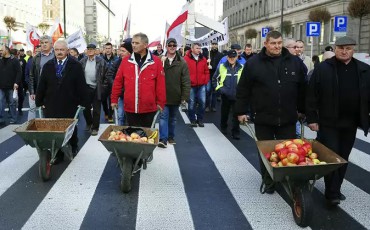 Назло Путину уничтожаем яблоки