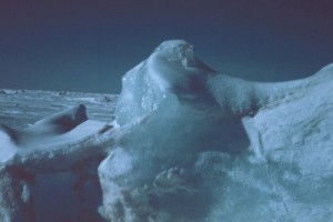 Протестующих на Уолл-Стрит согреют профсоюзы