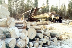 Работникам Лобвинского ЛПК частично погасили долги по зарплате