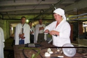 Колхозникам предоставят пенсионные льготы?