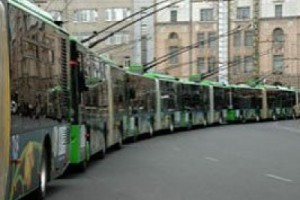 В Житомире остановился городской транспорт