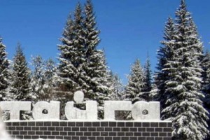 Председатель горкома профсоюза стала мэром города