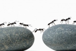 Перспектива 2012: протесты, коррупционные скандалы и нестабильность экономики