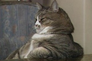 Пол начальника для россиян не важен?