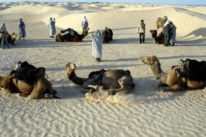 В Египте может начаться всеобщая забастовка работников туркомпаний