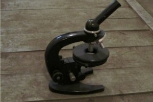 После неудачных родов будут платить пособие