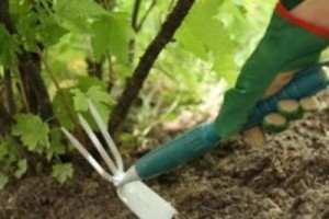 Майские каникулы удлинили