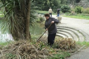 В сочинском дендрарии началась голодовка