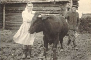 Дояркам и трактористам второй пенсии не дадут