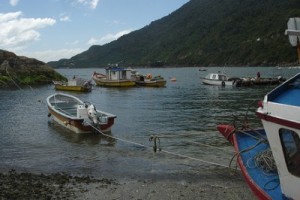 Чилийские рыбаки начали национальную забастовку