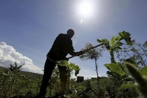 Африканские фермеры призывают бастовать