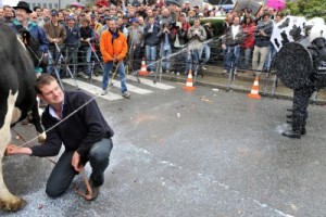 Испанские фермеры добились субсидий забастовкой