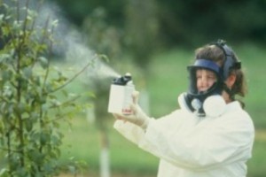 Конвенцию о запрете стойких органических загрязнителей ратифицируют до лета