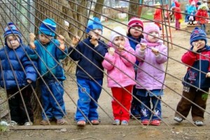 У мамы нет аппетита: идет всероссийская голодовка родителей