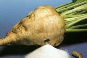 Сахаропроизводители обещают снижение цен через месяц