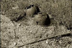 Сведения о погибших в ВОВ внесут в специальную базу данных