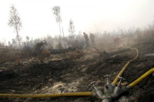 Официальная статистика по пожарам занижается в десятки раз