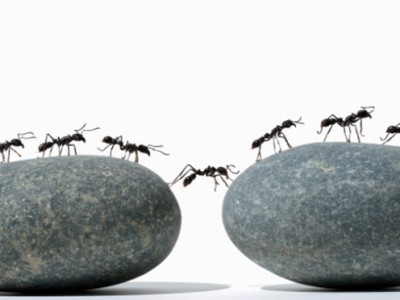 Перспектива 2012: протесты, коррупционные скандалы и нестабильность экономики