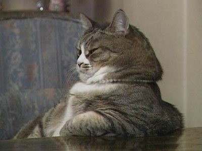 Пол начальника для россиян не важен?