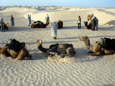 В Египте может начаться всеобщая забастовка работников туркомпаний