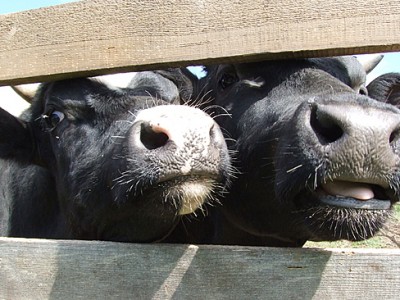 Американцы выбрали худшие профессии