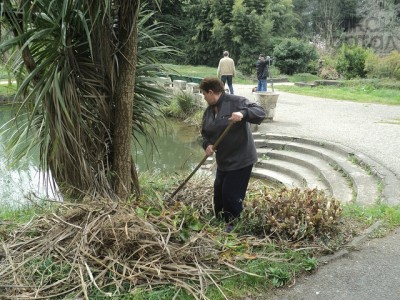 В сочинском дендрарии началась голодовка