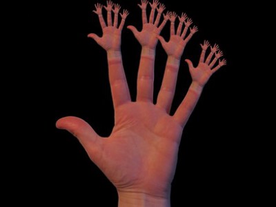 Две трети работодателей признались в том, что задабривают чиновников любыми способами