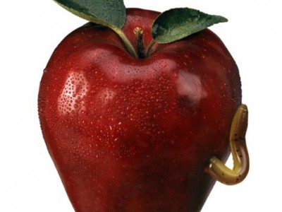 Детский труд на производствах Apple используется все чаще