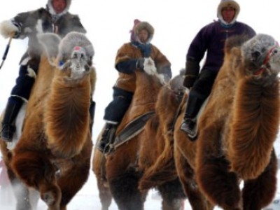 Русский язык будущим инженерам и специалистам знать не обязательно