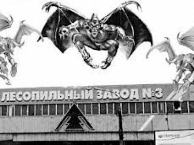 Архангельские «лесники» просят Путина о помощи