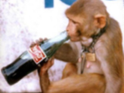 Немецкие пищевики за сохранение рабочих мест и зарплаты