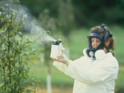 Конвенцию о запрете стойких органических загрязнителей ратифицируют до лета