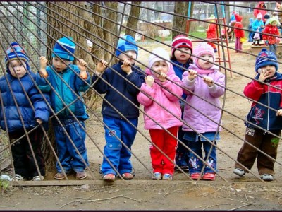 У мамы нет аппетита: идет всероссийская голодовка родителей