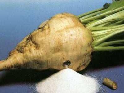 Сахаропроизводители обещают снижение цен через месяц