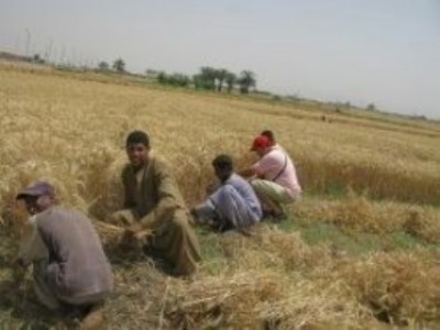 Мигранты в Израиле взбунтовались и потребовали справедливой зарплаты и нормальных условий труда