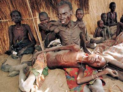 Голодных в мире будет больше