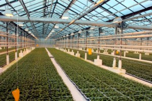 Возвращение профвзносов