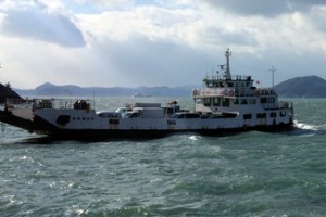 50 дней в Южной Корее