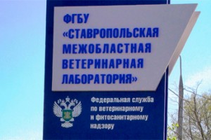 Бессрочный карантин