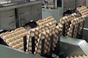 Подложное мытье рук