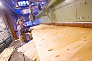 Череповецкий фанерно-мебельный комбинат: Пять кругов домашнего уюта,