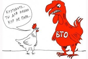 И петух клюнул...