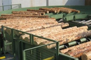 Хозяина нет, долги остались