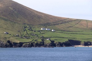 За деньги и с удовольствием