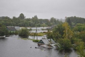 Приморские профсоюзы добиваются изменения законодательства об агростраховании