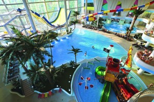 В бассейн с профсоюзной картой