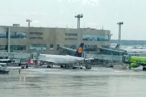 Массовые увольнения грядут в авиакомпании Lufthansa