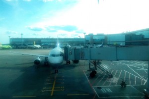 Авиакомпаниям выделят 3 млрд рублей на льготные перевозки