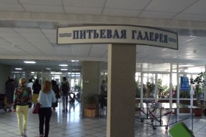 Депутат предложила меры по восстановлению санаторно-курортной сферы