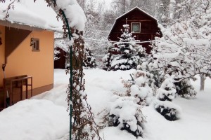 Дачную амнистию продлили на пять лет